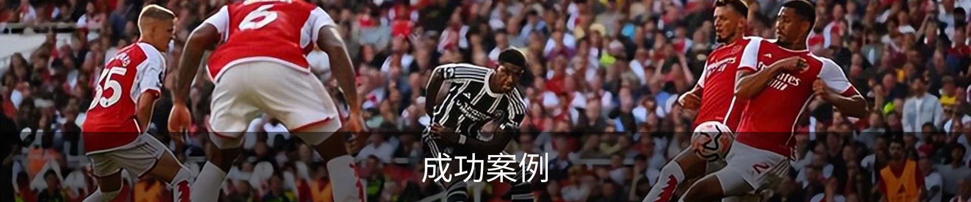 成功案例