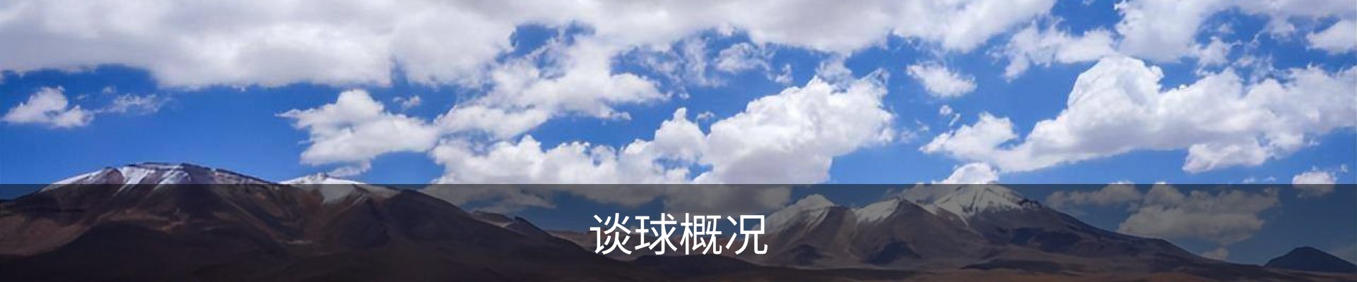谈球概况